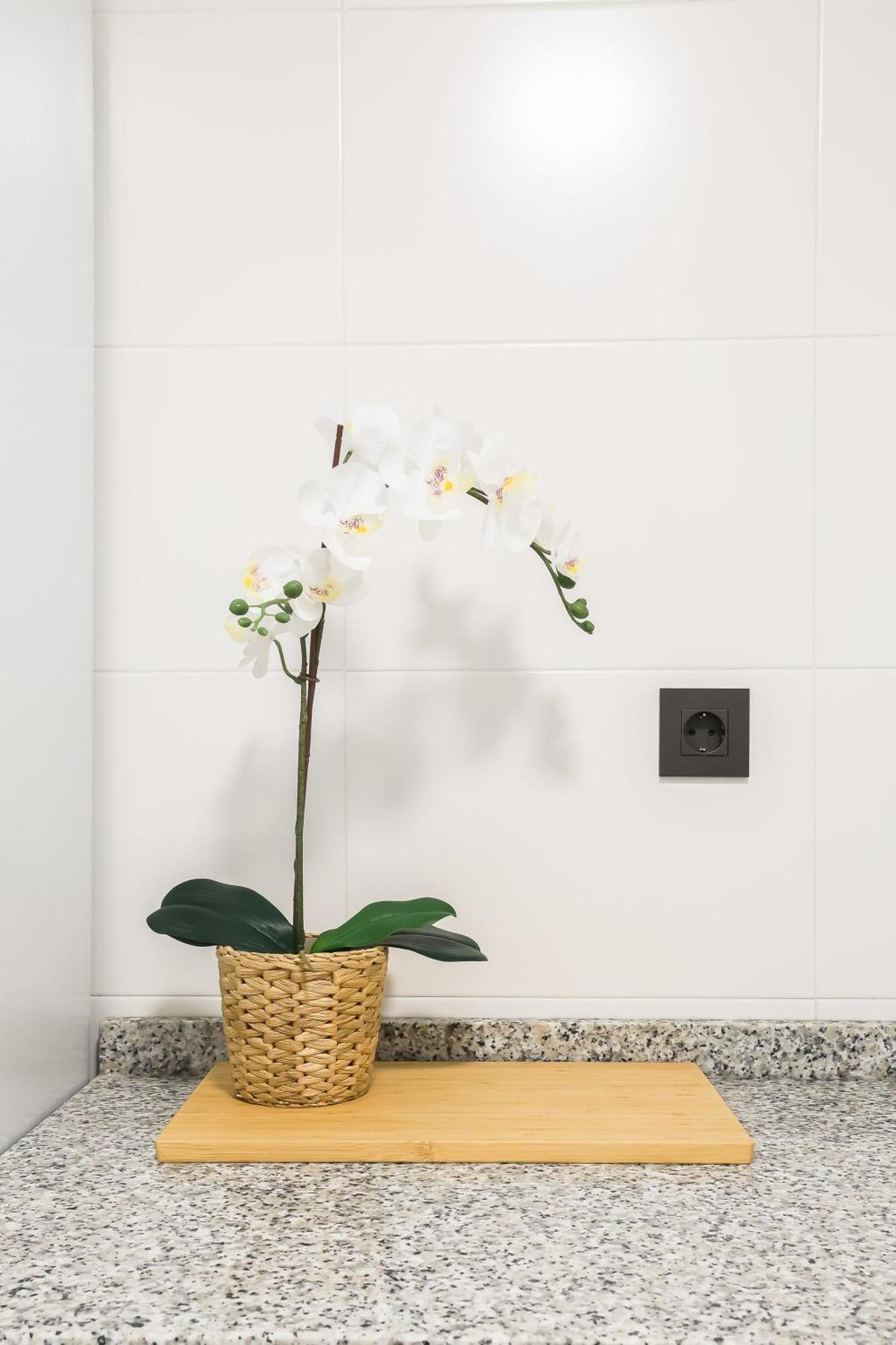 Apartamento Palermo Living Suites En Burriana Dış mekan fotoğraf
